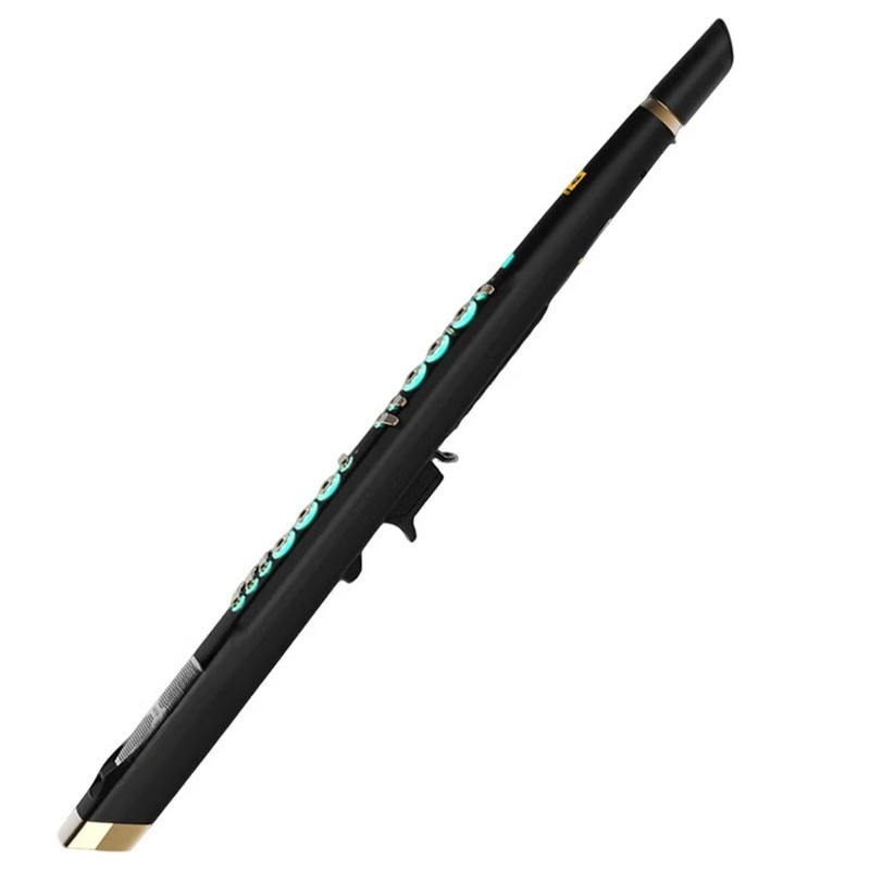 Musical Instrument That You Blow Into - Sassofono elettrico intelligente C20 con campionamento