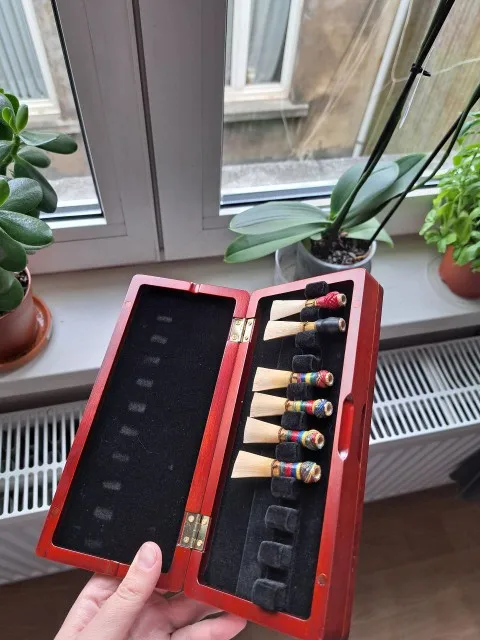 Custodia per canne da fagotto  - Musical Instrument Bassoon recensione e prezzo