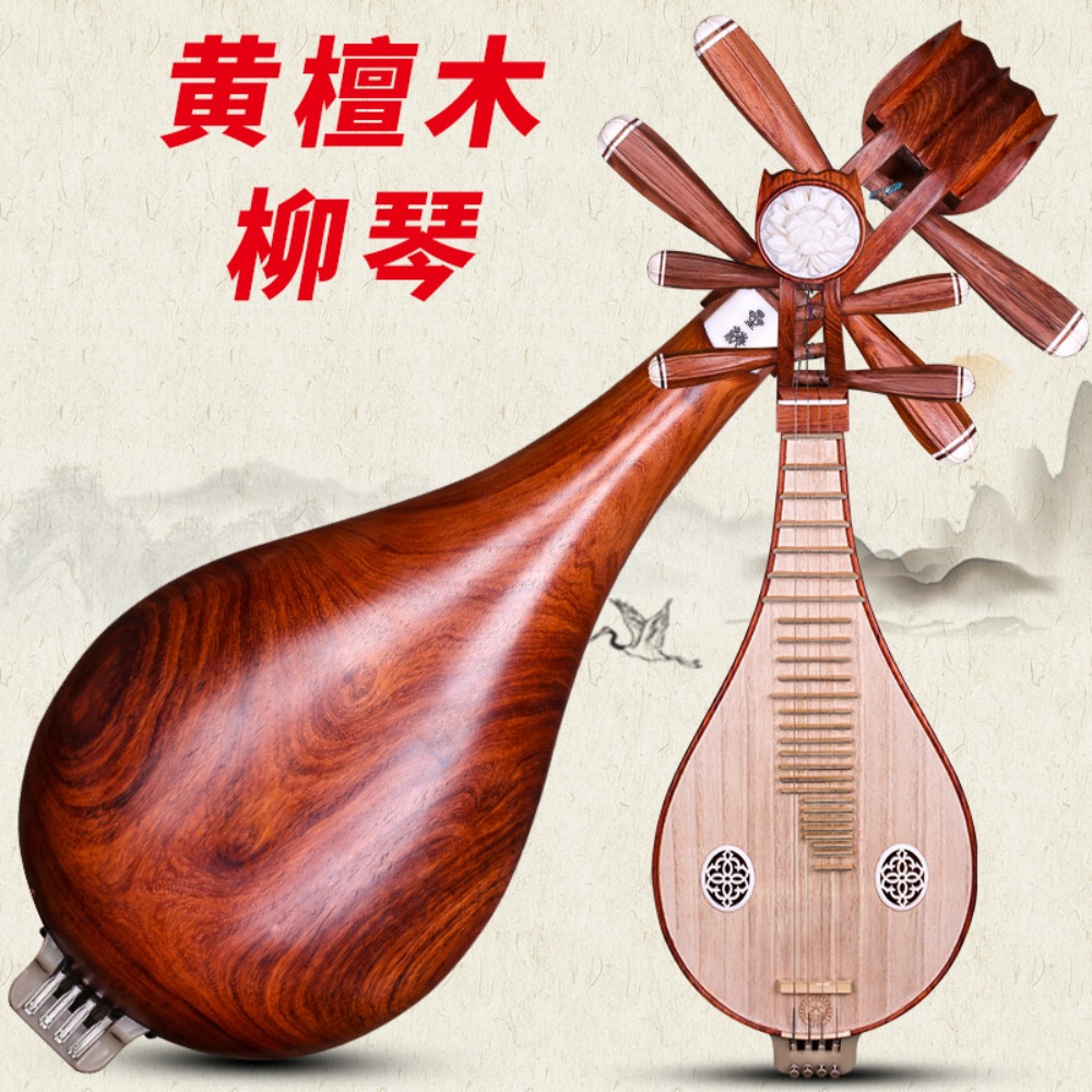 Beijing Xinghai 8414-A Liuqin  - Musical Instruments recensione e prezzo