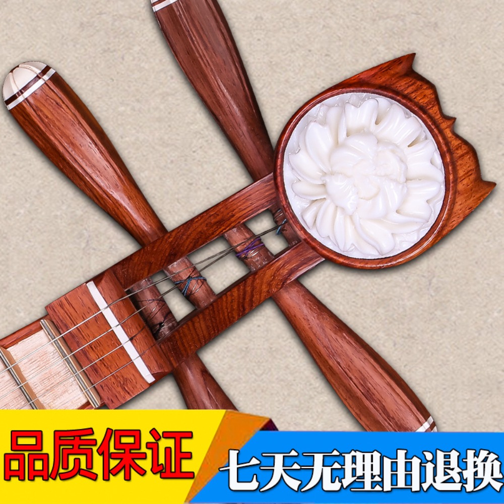 Beijing Xinghai 8414-A Liuqin  - Musical Instruments recensione e prezzo