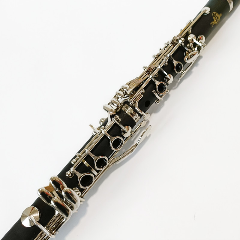 Brand Buffet Crampon Prodige C - Musical Instrument Brands recensione e prezzo