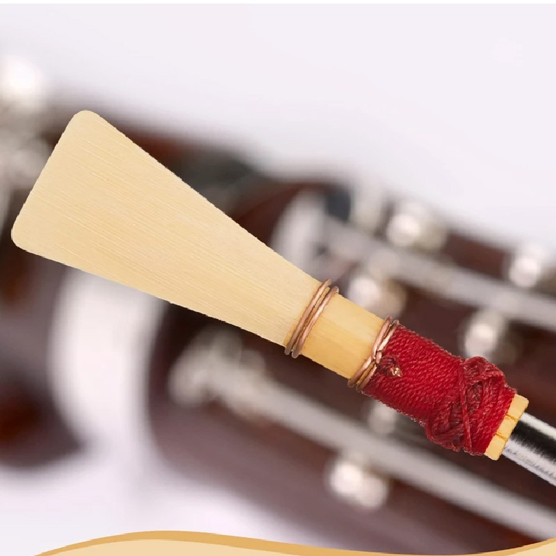 1/5/10 Pezzi di canne per fago - Musical Instrument Bazooka recensione e prezzo