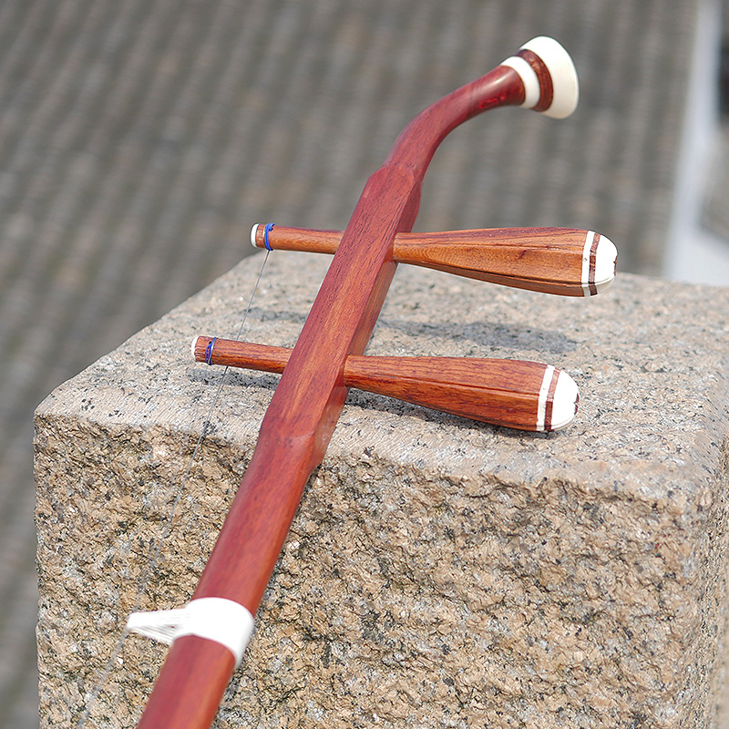 Professionale Dunhuang Marca 0 - Musical Instrument Brands recensione e prezzo