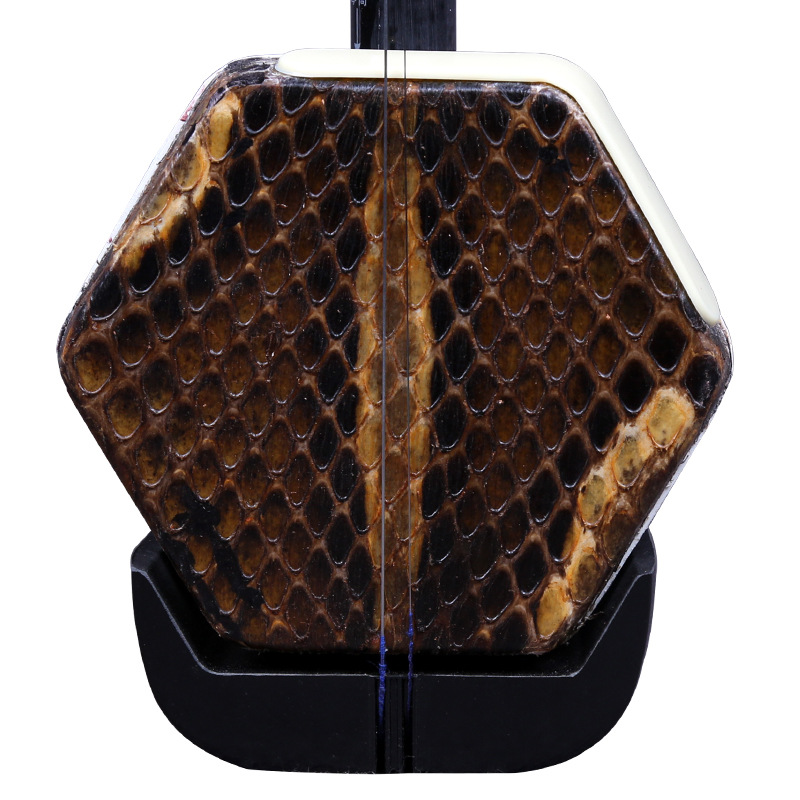 Dunhuang Marca Erhu 02A Lignum - Musical Instrument Brands recensione e prezzo