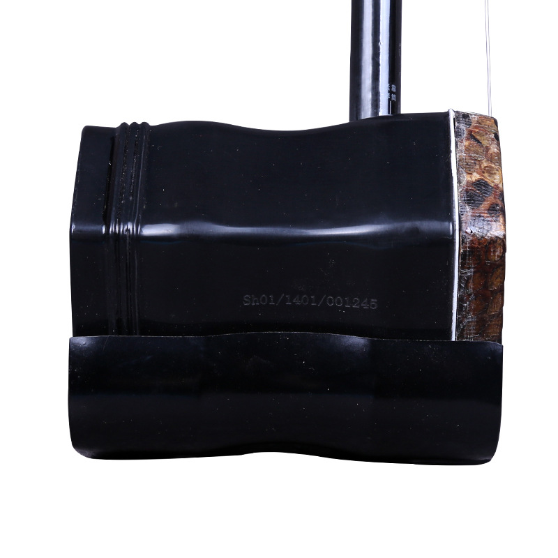 Dunhuang Marca Erhu 02A Lignum - Musical Instrument Brands recensione e prezzo