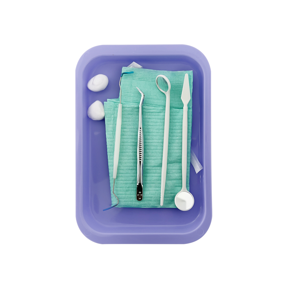 1 pz. Vassoio Dentale in Plast - L Musical Instrument recensione e prezzo