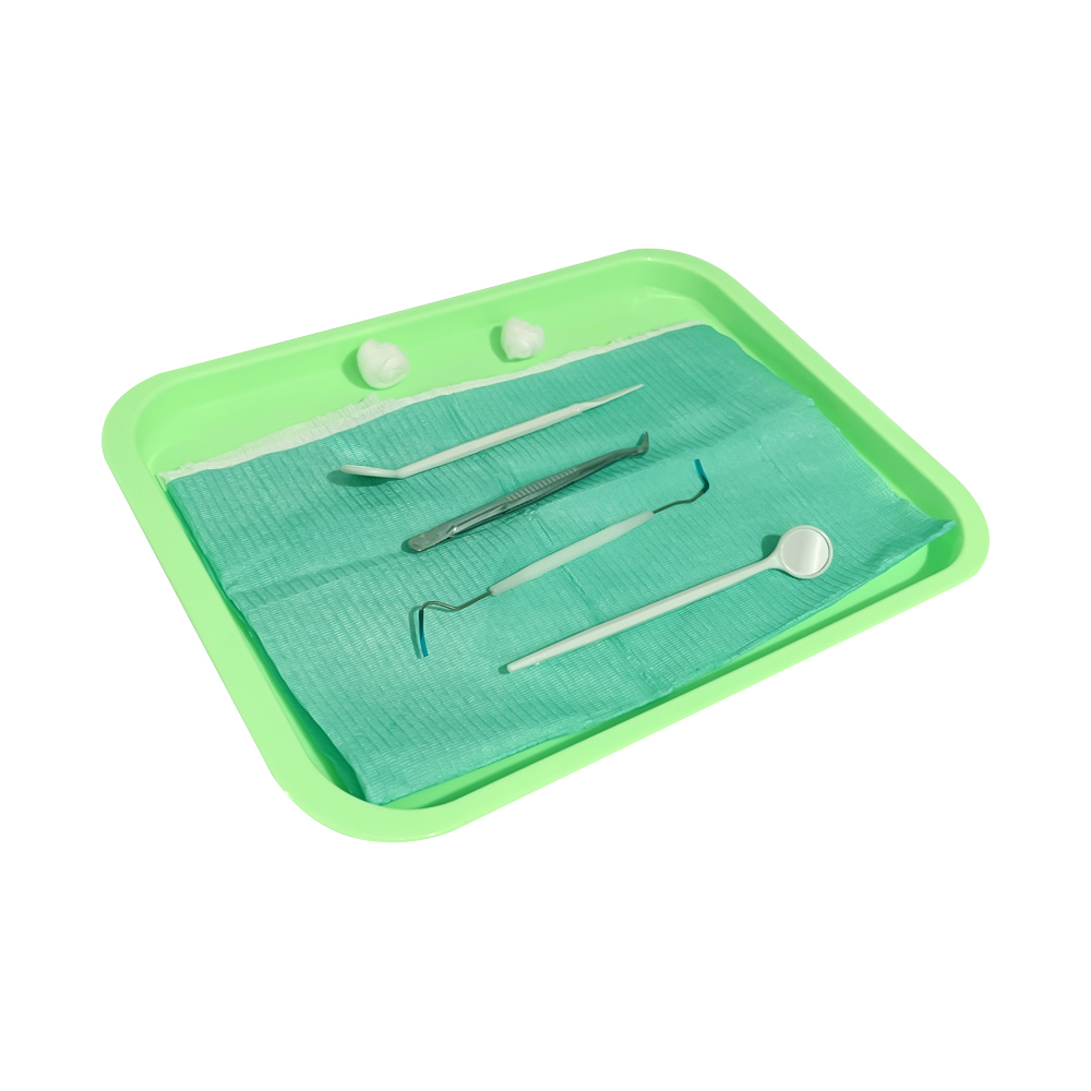 1 pz. Vassoio Dentale in Plast - L Musical Instrument recensione e prezzo