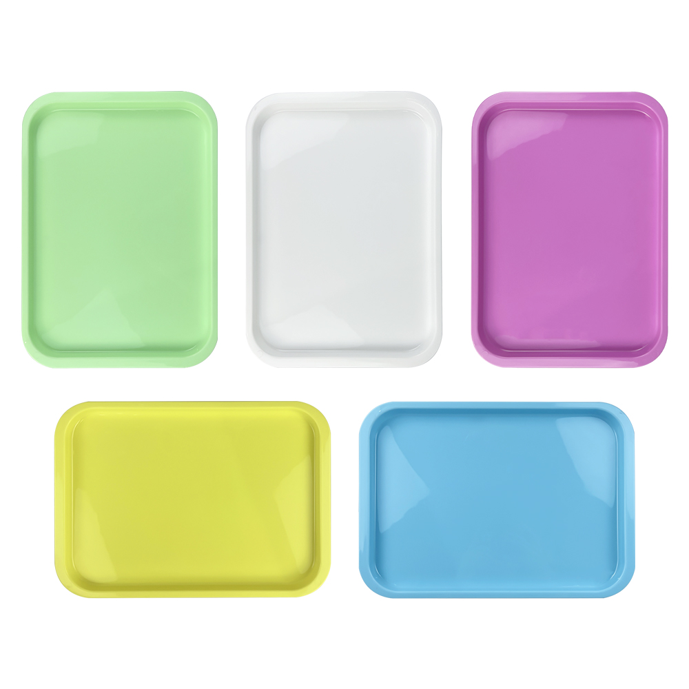 1 pz. Vassoio Dentale in Plast - L Musical Instrument recensione e prezzo