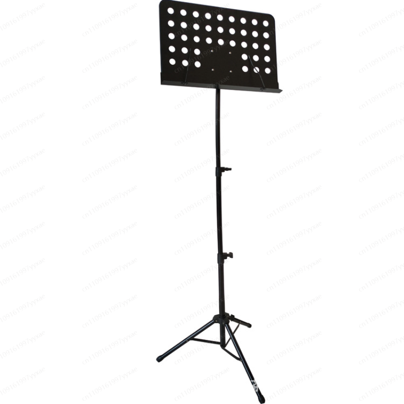 Supporto musicale professional - Musical Instrument Guzheng recensione e prezzo