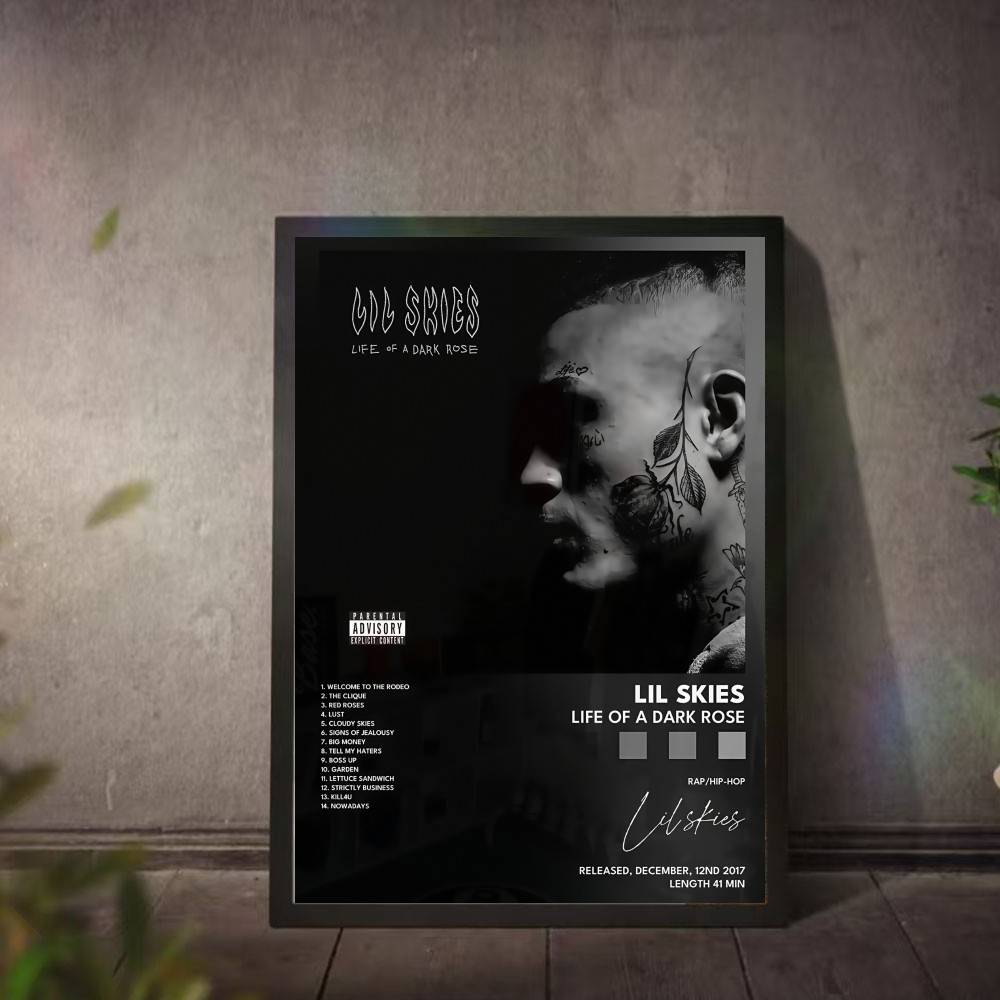 L-Lil S-Skies Poster Album mus - L Musical Instrument recensione e prezzo