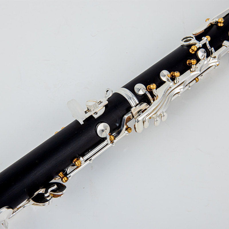 Clarinetto in Sib con tubo pro - Musical Instrument Brands recensione e prezzo